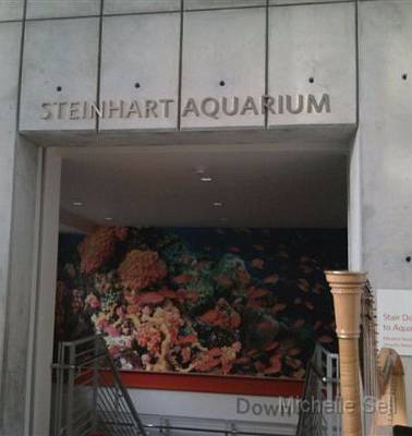 Steinhart Aquarium.jpg